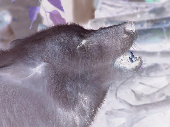  ♥♥olyan gy�ny�r�♥♥